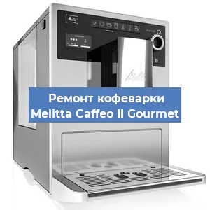 Чистка кофемашины Melitta Caffeo II Gourmet от накипи в Волгограде